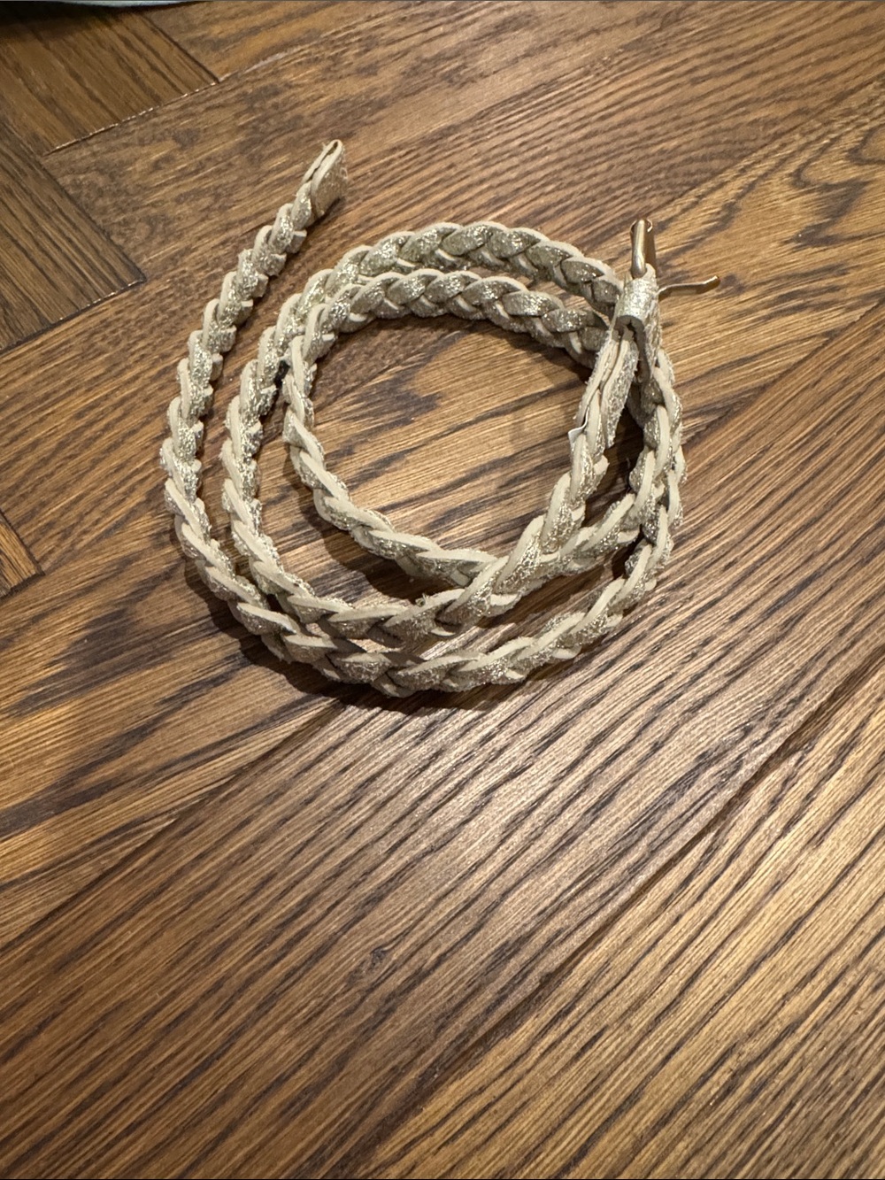 Banana Republic Braided Metallic Gold Belt